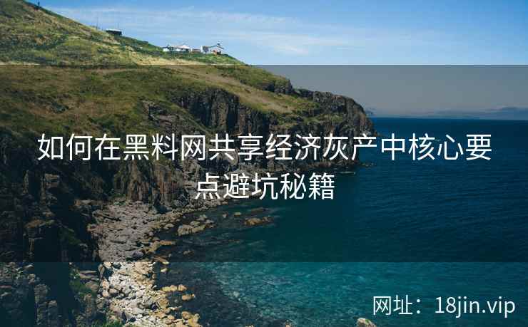 如何在黑料网共享经济灰产中核心要点避坑秘籍