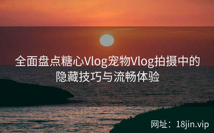 全面盘点糖心Vlog宠物Vlog拍摄中的隐藏技巧与流畅体验