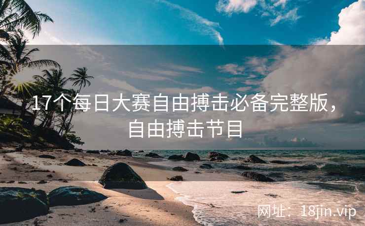 17个每日大赛自由搏击必备完整版，自由搏击节目