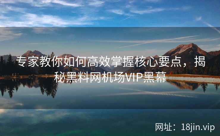 专家教你如何高效掌握核心要点，揭秘黑料网机场VIP黑幕